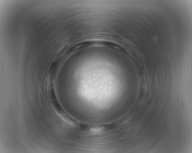 X0000083040560200702021155