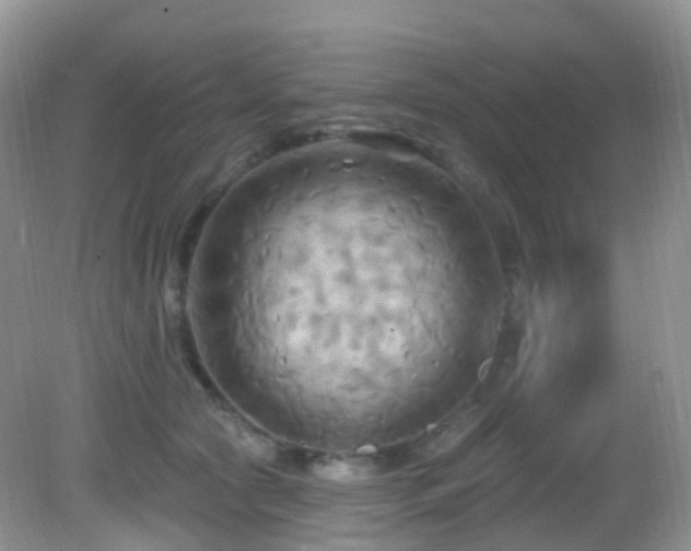 X0000083040561200702021155