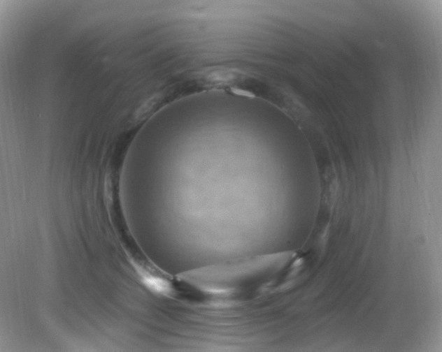 X0000083040562200702021155