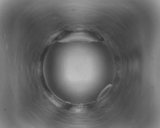 X0000083040563200702021155