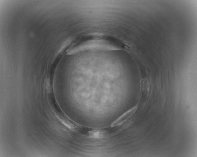 X0000083040564200702021155