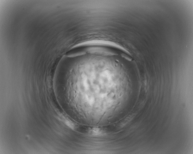 X0000083040565200702021155