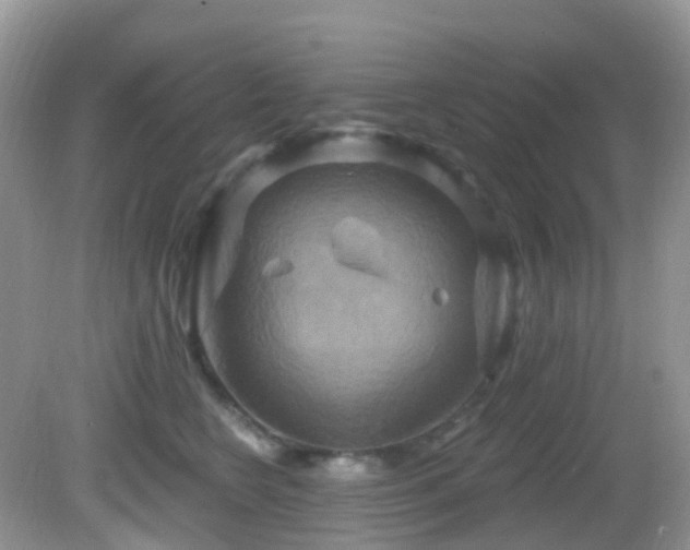 X0000083040566200702021155