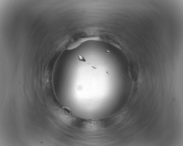 X0000083040567200702021155