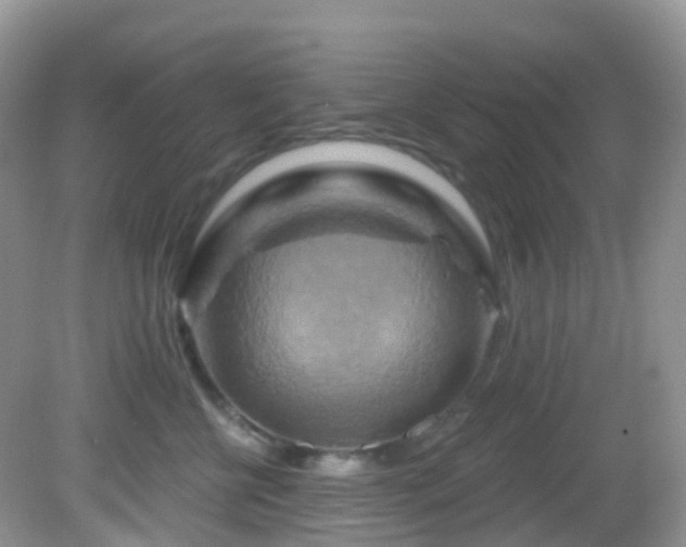 X0000083040570200702021155