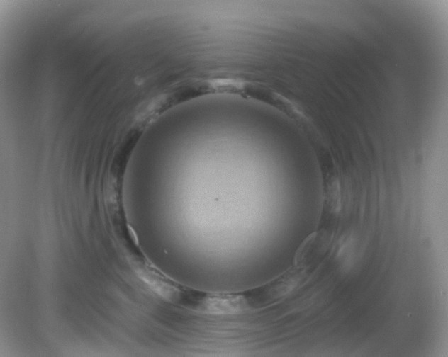 X0000083040571200702021155