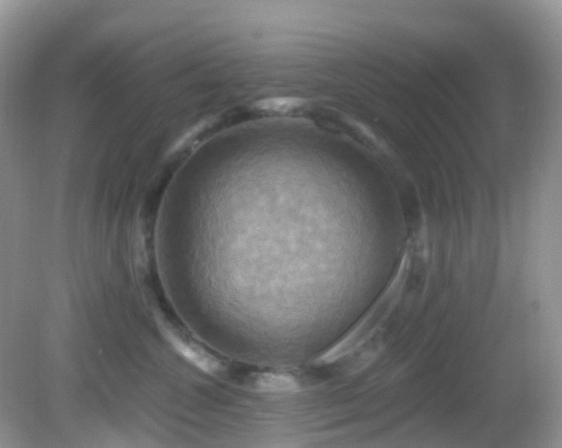 X0000083040572200702021155