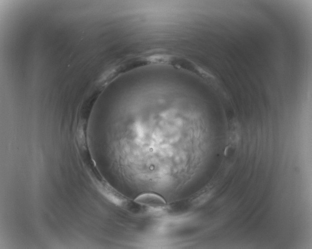 X0000083040573200702021155