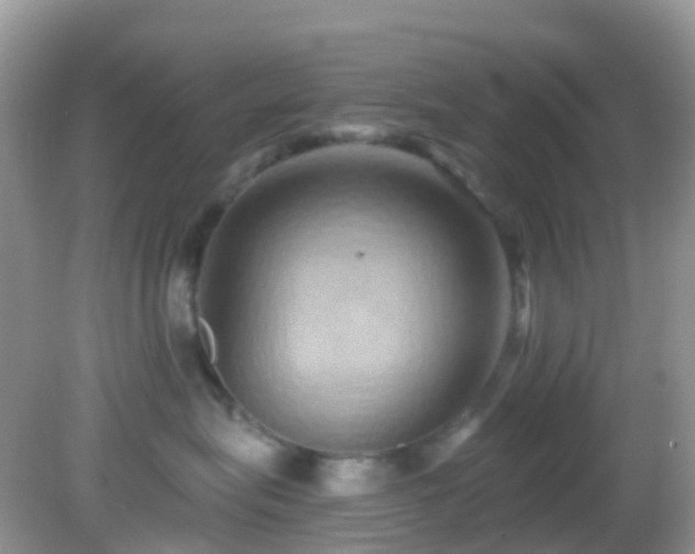 X0000083040575200702021155