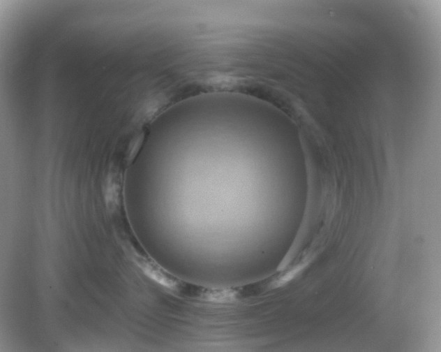 X0000083040576200702021155