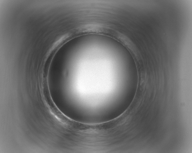 X0000083040578200702021154