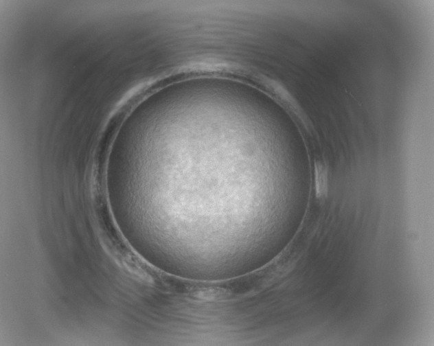 X0000083040579200702021154