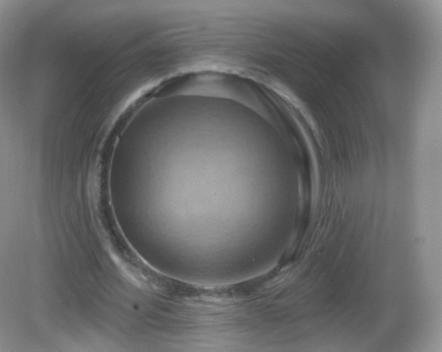 X0000083040580200702021154