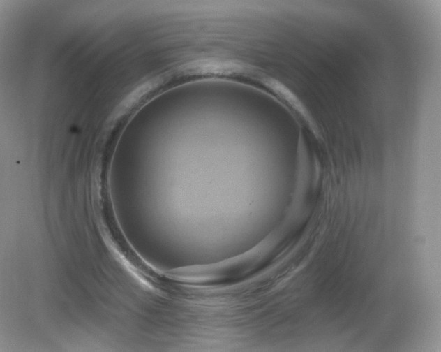 X0000083040581200702021154