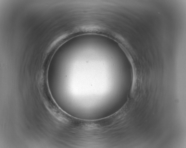 X0000083040583200702021154