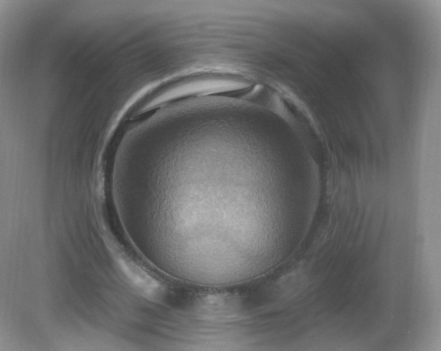 X0000083040584200702021154