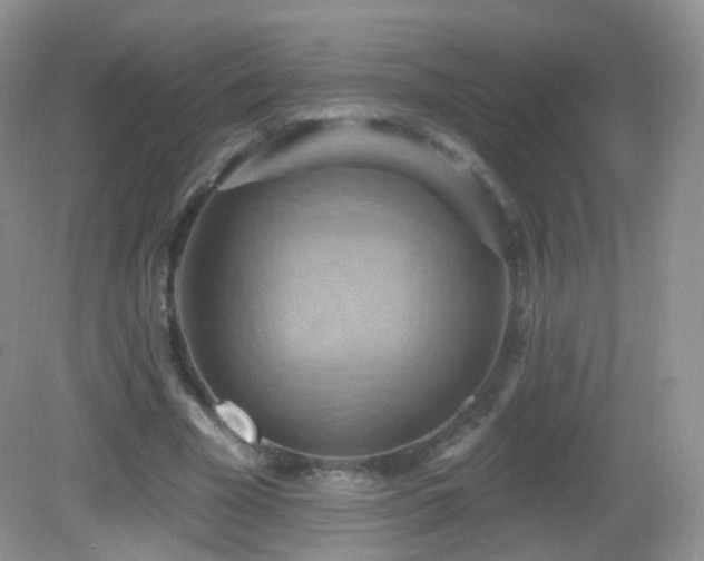 X0000083040585200702021154