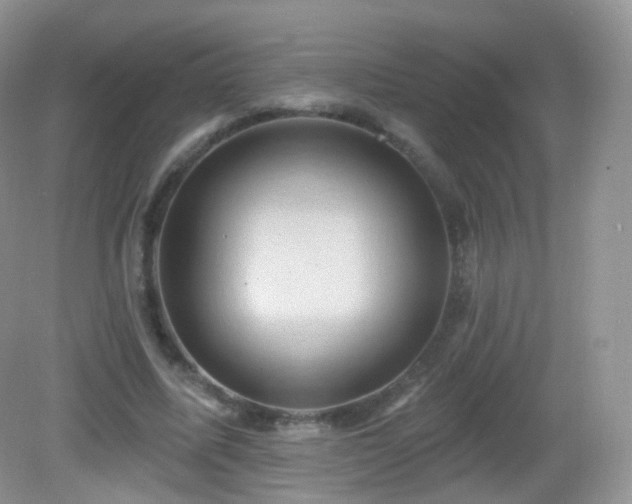 X0000083040587200702021154