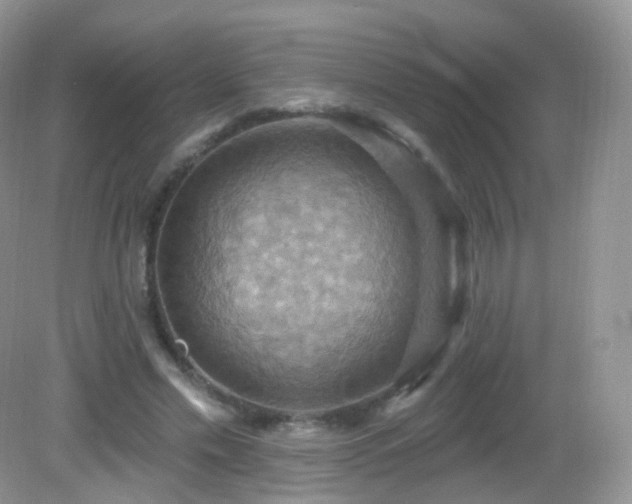 X0000083040589200702021154