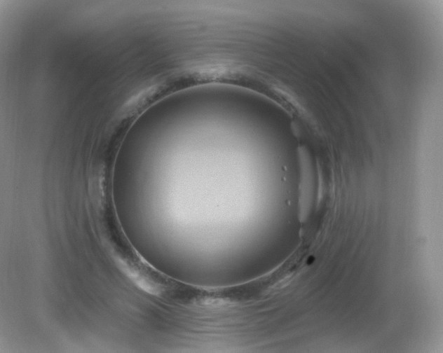 X0000083040590200702021154