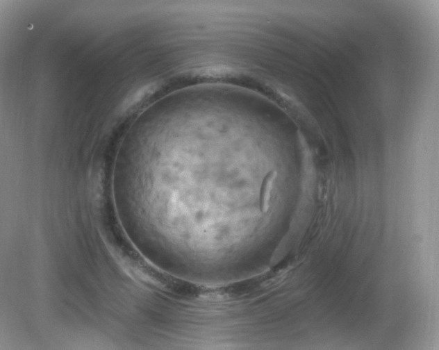 X0000083040591200702021154