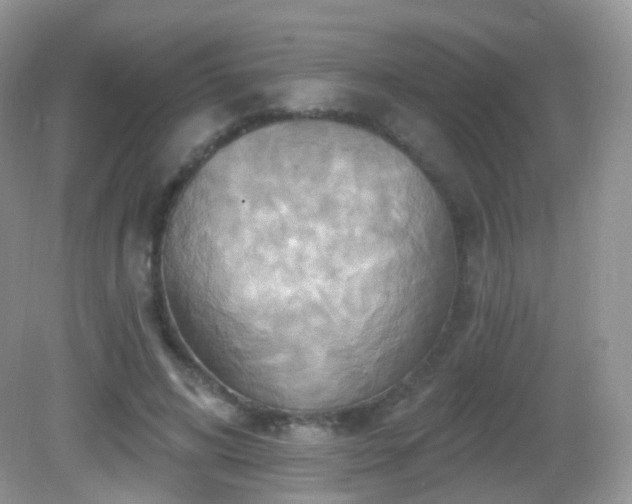 X0000083040592200702021154