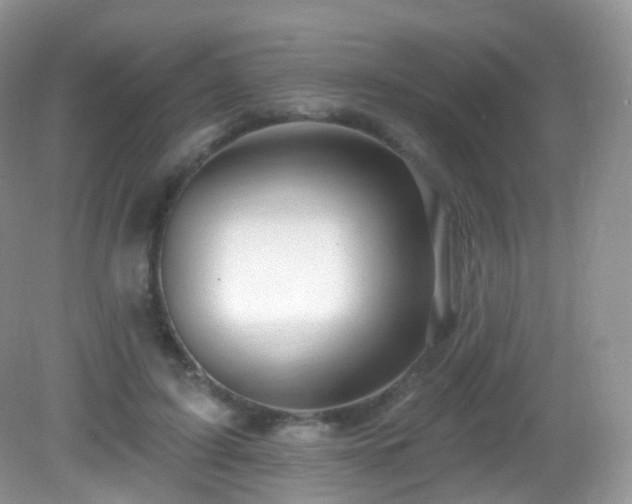 X0000083040595200702021154