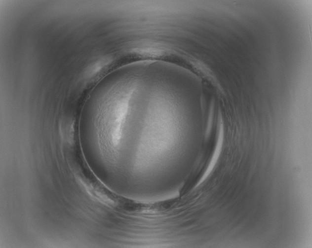 X0000083040596200702021154