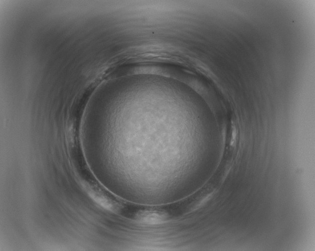 X0000083040597200702021154