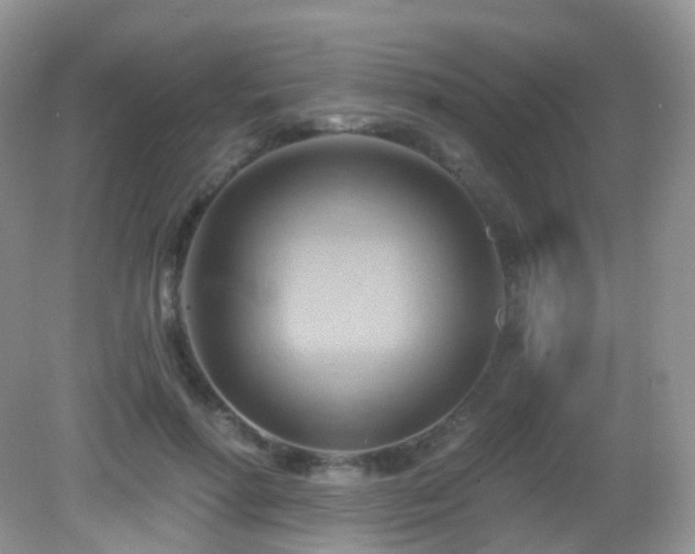 X0000083040598200702021154