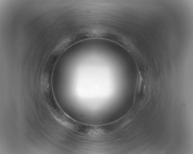 X0000083040599200702021154