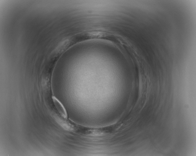 X0000083040601200702021154