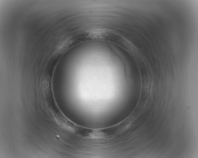 X0000083040603200702021154