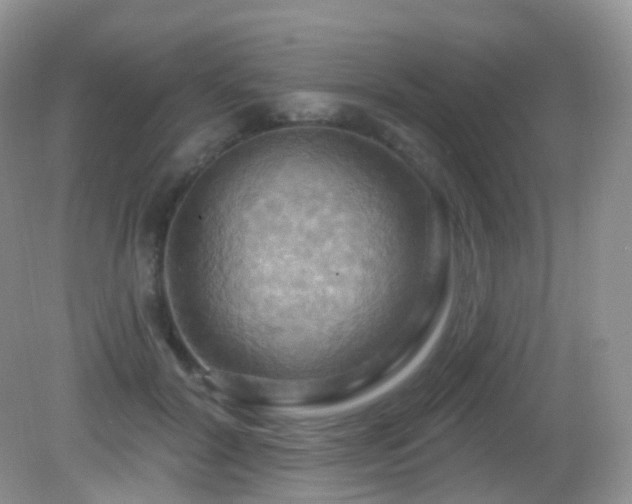 X0000083040604200702021154