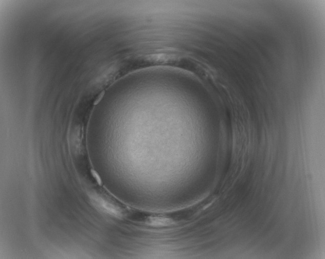 X0000083040605200702021154