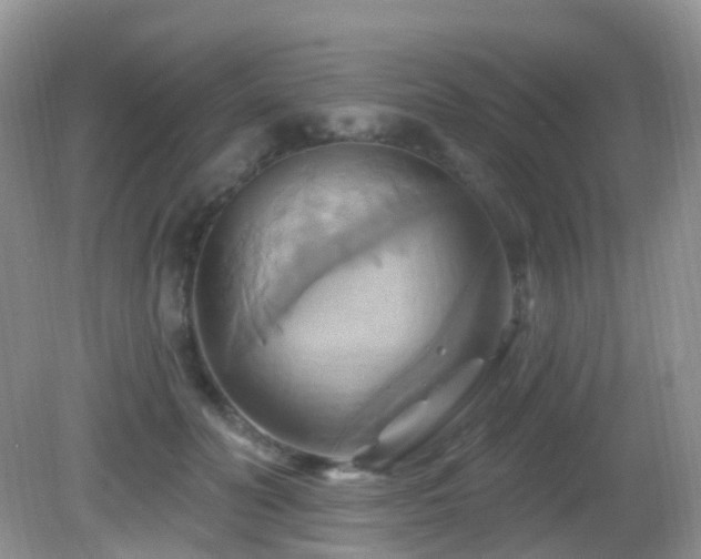 X0000083040606200702021154