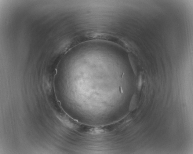 X0000083040607200702021154