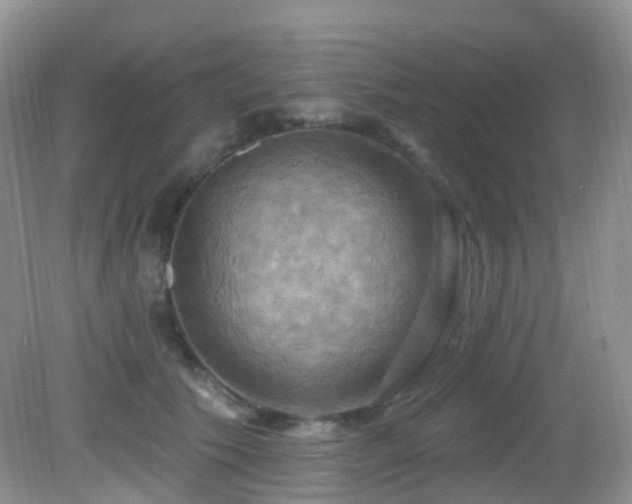 X0000083040609200702021153