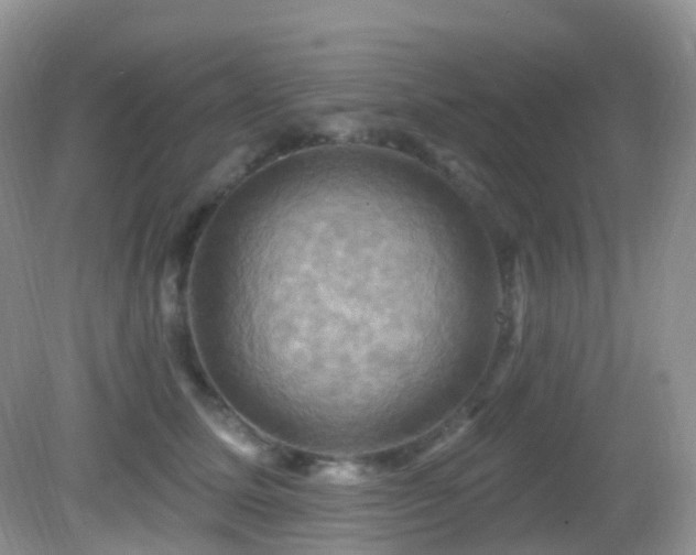 X0000083040611200702021153