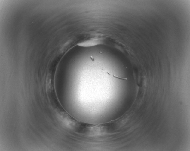 X0000083040615200702021153