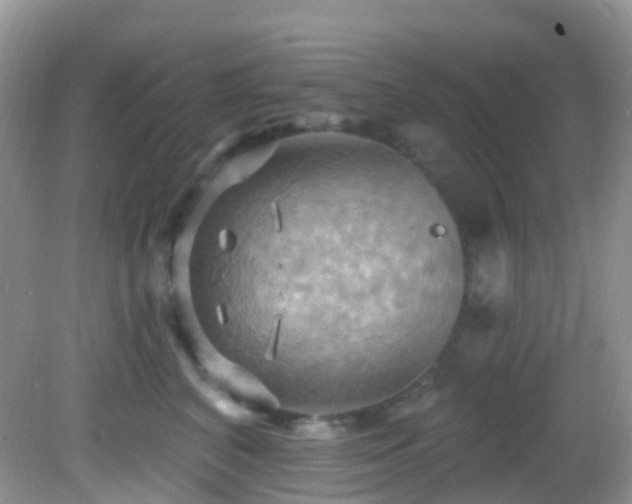 X0000083040616200702021153