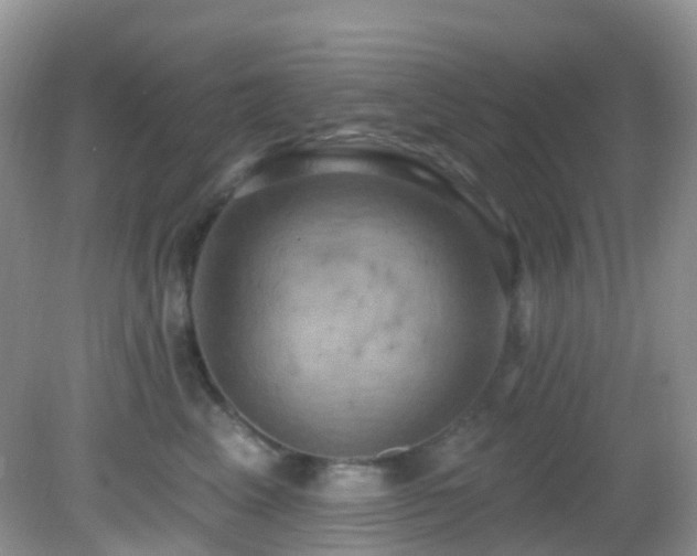 X0000083040617200702021153