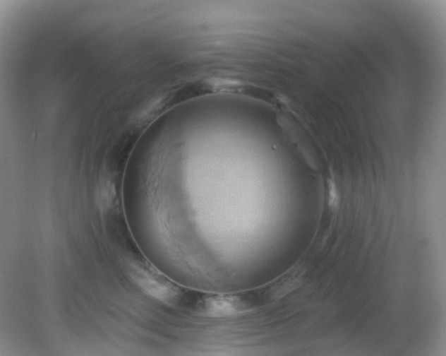 X0000083040618200702021153