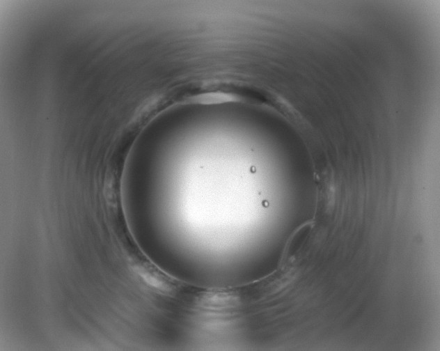 X0000083040619200702021153