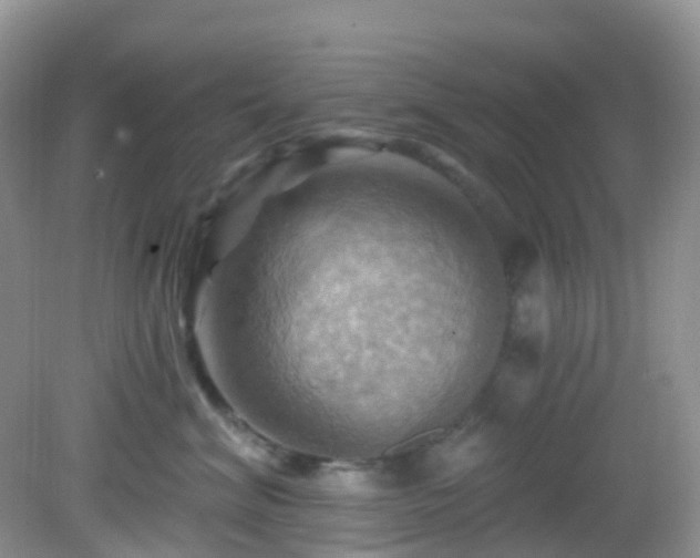 X0000083040620200702021153