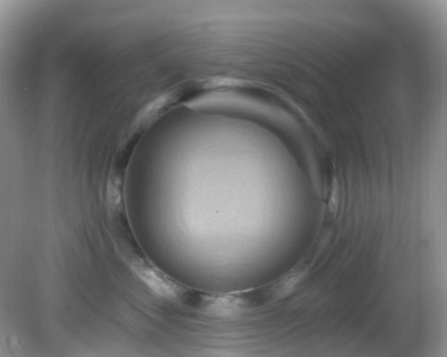 X0000083040621200702021153