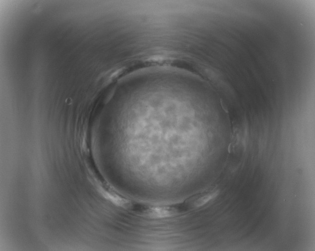 X0000083040623200702021153