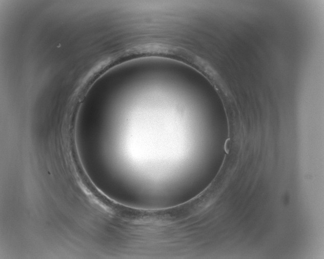 X0000083040625200702021152