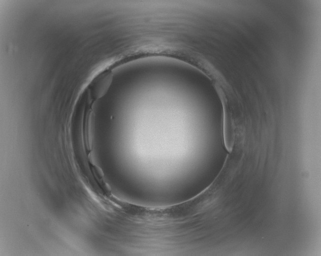 X0000083040626200702021152