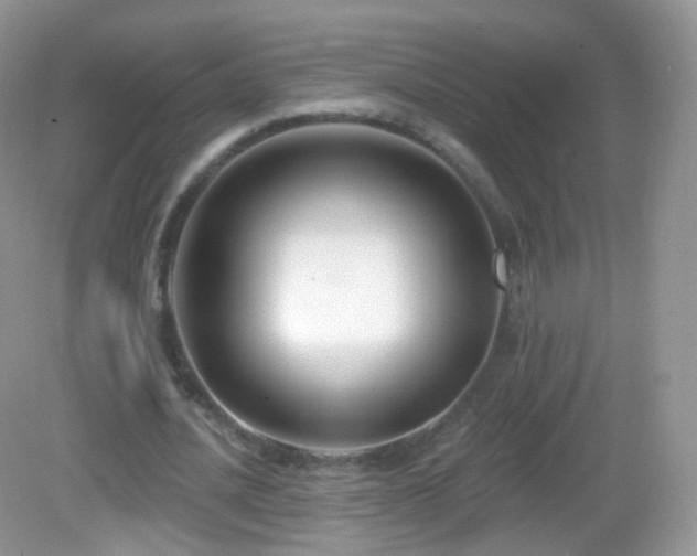 X0000083040628200702021152